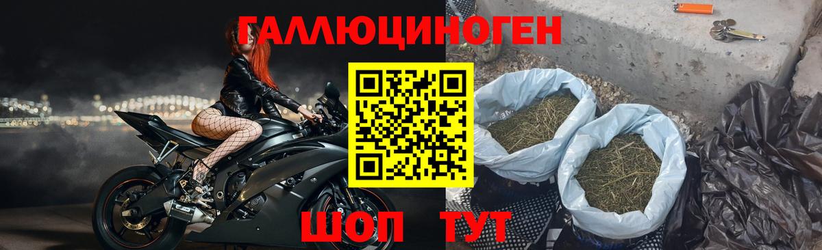Мирный  Галлюциногенные грибы Magic Shrooms  Вход с VPN  Псилоцибиновые грибы GOLDEN TEACHER 